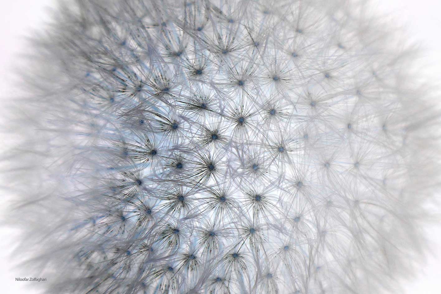 Macro2
