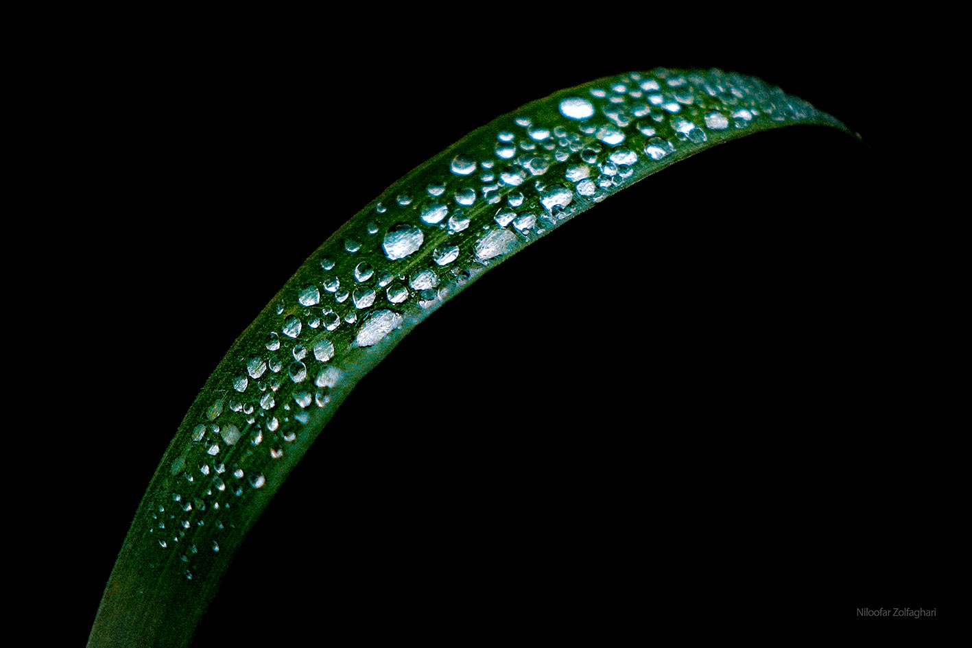 Macro3