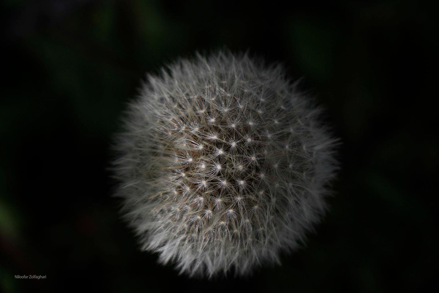 Macro5