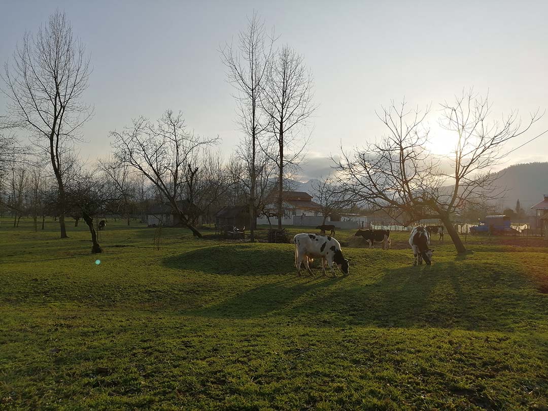 Mobilegraphy_13