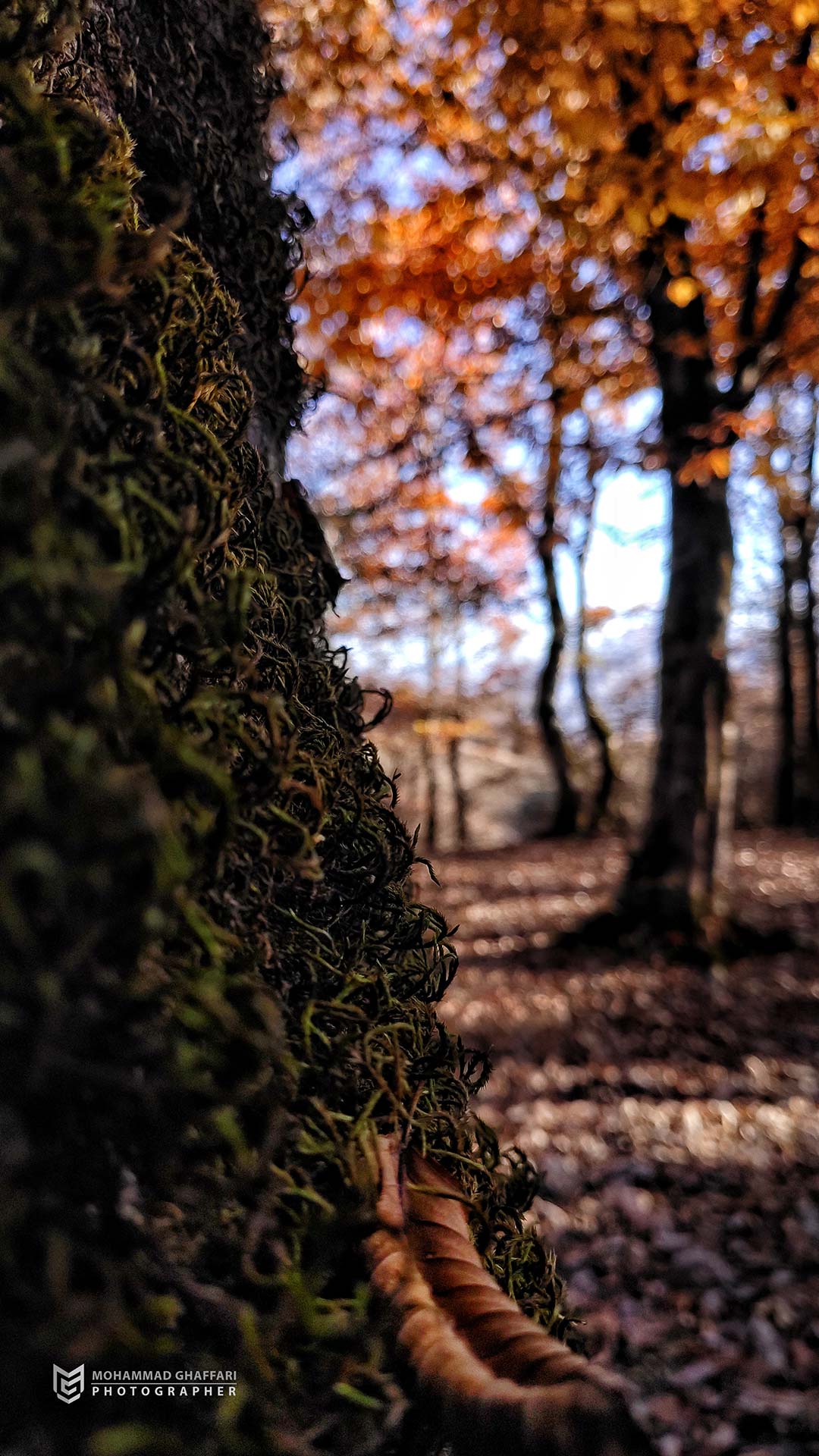 Mobilegraphy_7