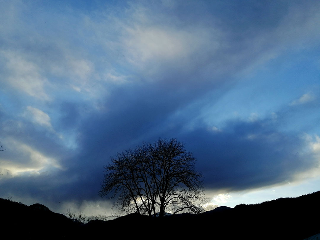 Nature8