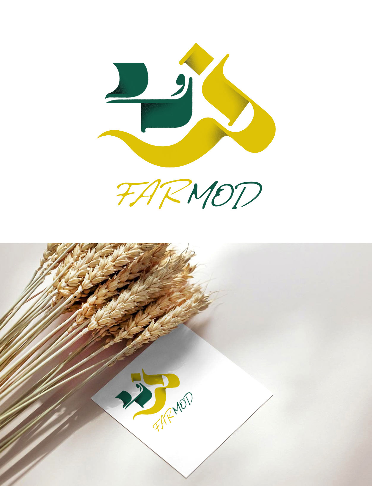 logo_30